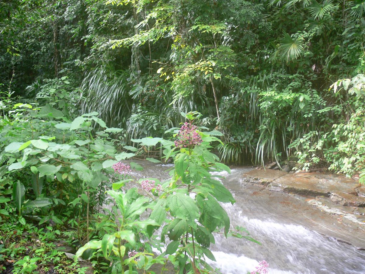 Waterfall Villas Baru Kültér fotó